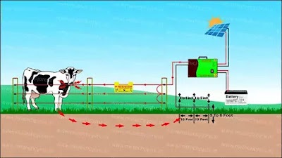 Solar Jhatka Machine